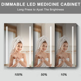 WELLFOR BG 20-in x 30-in Lighted LED Fog Free Surface Mount Black Mirrored Soft Close Medicine Cabinet