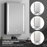 WELLFOR BG 20-in x 30-in Lighted LED Fog Free Surface Mount Black Mirrored Soft Close Medicine Cabinet