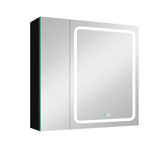 WELLFOR BG 30-in x 30-in Lighted LED Fog Free Surface Mount Black Mirrored Soft Close Medicine Cabinet
