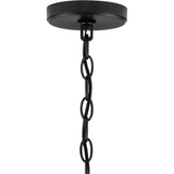 Progress Lighting Leyden 5-Light Matte Black Transitional Chandelier
