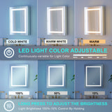 WELLFOR NIKA 20-in x 30-in Lighted LED Fog Free Surface/Recessed Mount Silver Mirrored Soft Close Medicine Cabinet with Outlet
