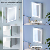WELLFOR NIKA 20-in x 30-in Lighted LED Fog Free Surface/Recessed Mount Silver Mirrored Soft Close Medicine Cabinet with Outlet