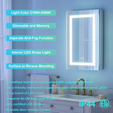 WELLFOR NIKA 20-in x 30-in Lighted LED Fog Free Surface/Recessed Mount Silver Mirrored Soft Close Medicine Cabinet with Outlet