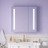 WELLFOR VICK 30-in x 30-in Lighted LED Fog Free Surface/Recessed Mount Silver Mirrored Soft Close Medicine Cabinet with Outlet