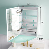 WELLFOR ELIN 20-in x 30-in Lighted LED Fog Free Surface/Recessed Mount Silver Mirrored Soft Close Medicine Cabinet with Outlet