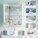 WELLFOR ELIN 20-in x 30-in Lighted LED Fog Free Surface/Recessed Mount Silver Mirrored Soft Close Medicine Cabinet with Outlet