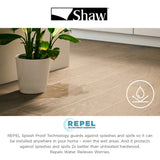 Shaw Oak Kismet hardwood flooring — carton and plank detail