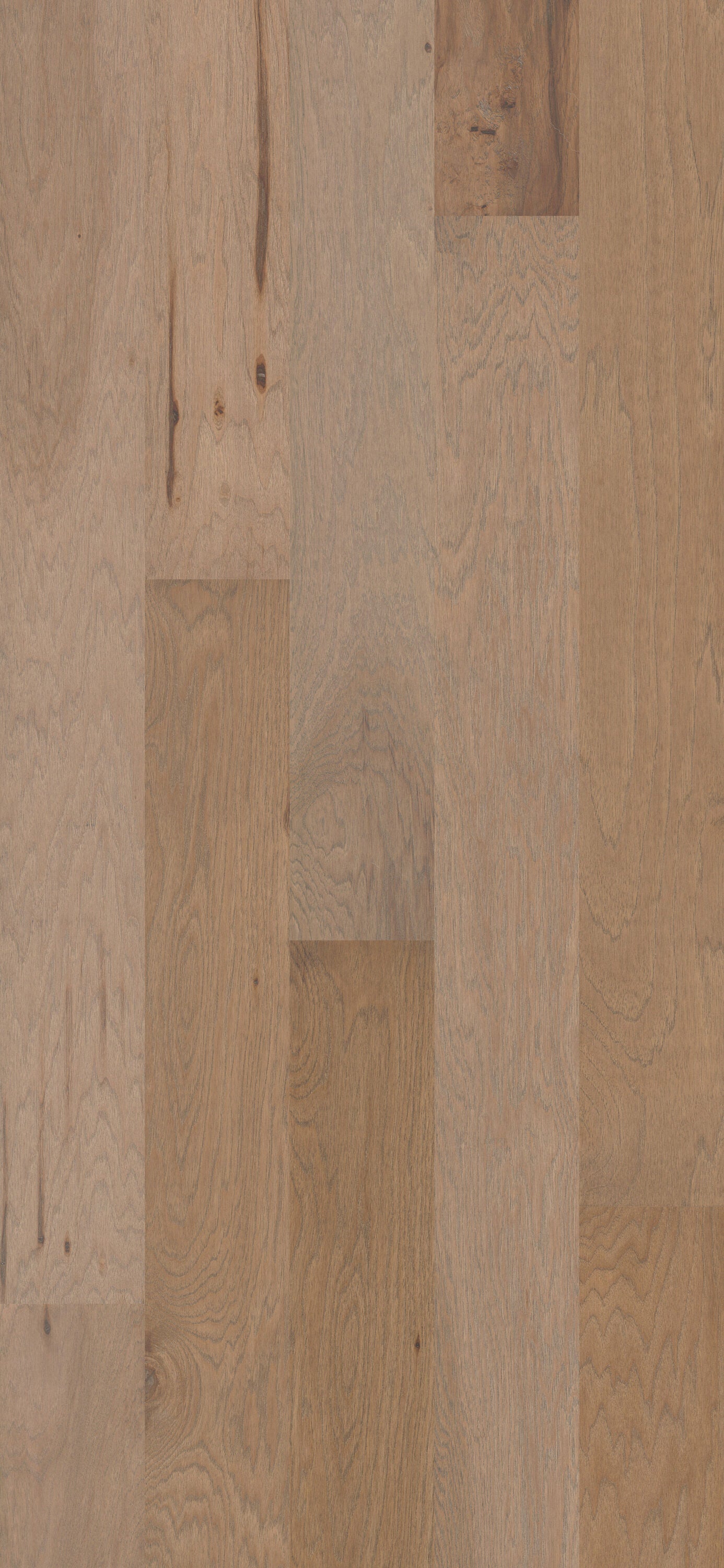 Shaw Hickory New Haven hardwood flooring — lifestyle view