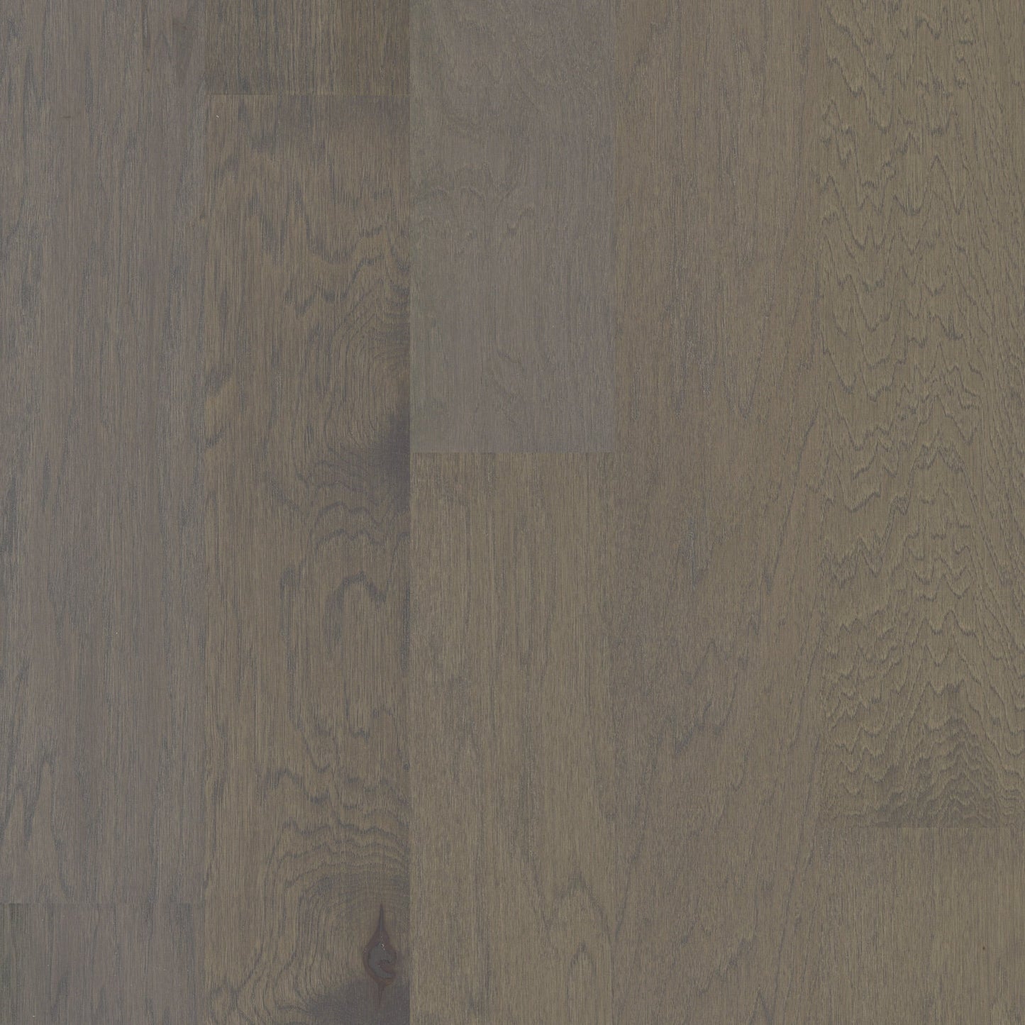 Shaw Hickory Wilmington hardwood flooring — primary plank view