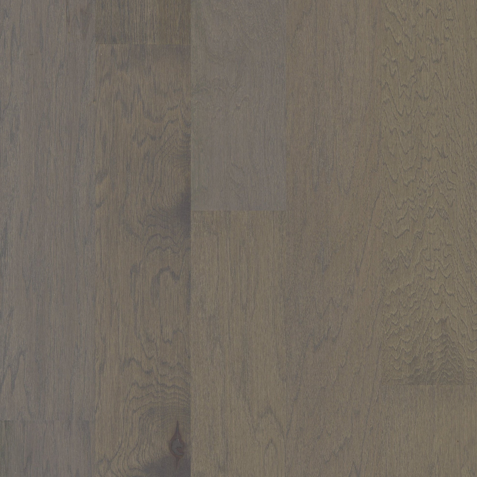 Shaw Hickory Wilmington hardwood flooring — primary plank view