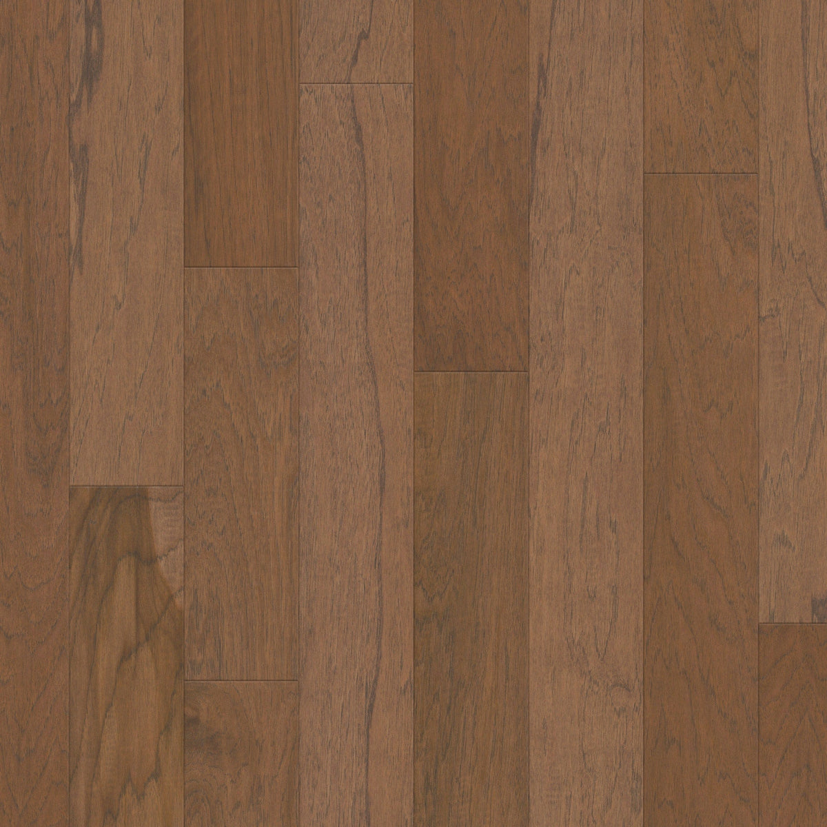Shaw Hickory Tristan hardwood flooring — primary plank view