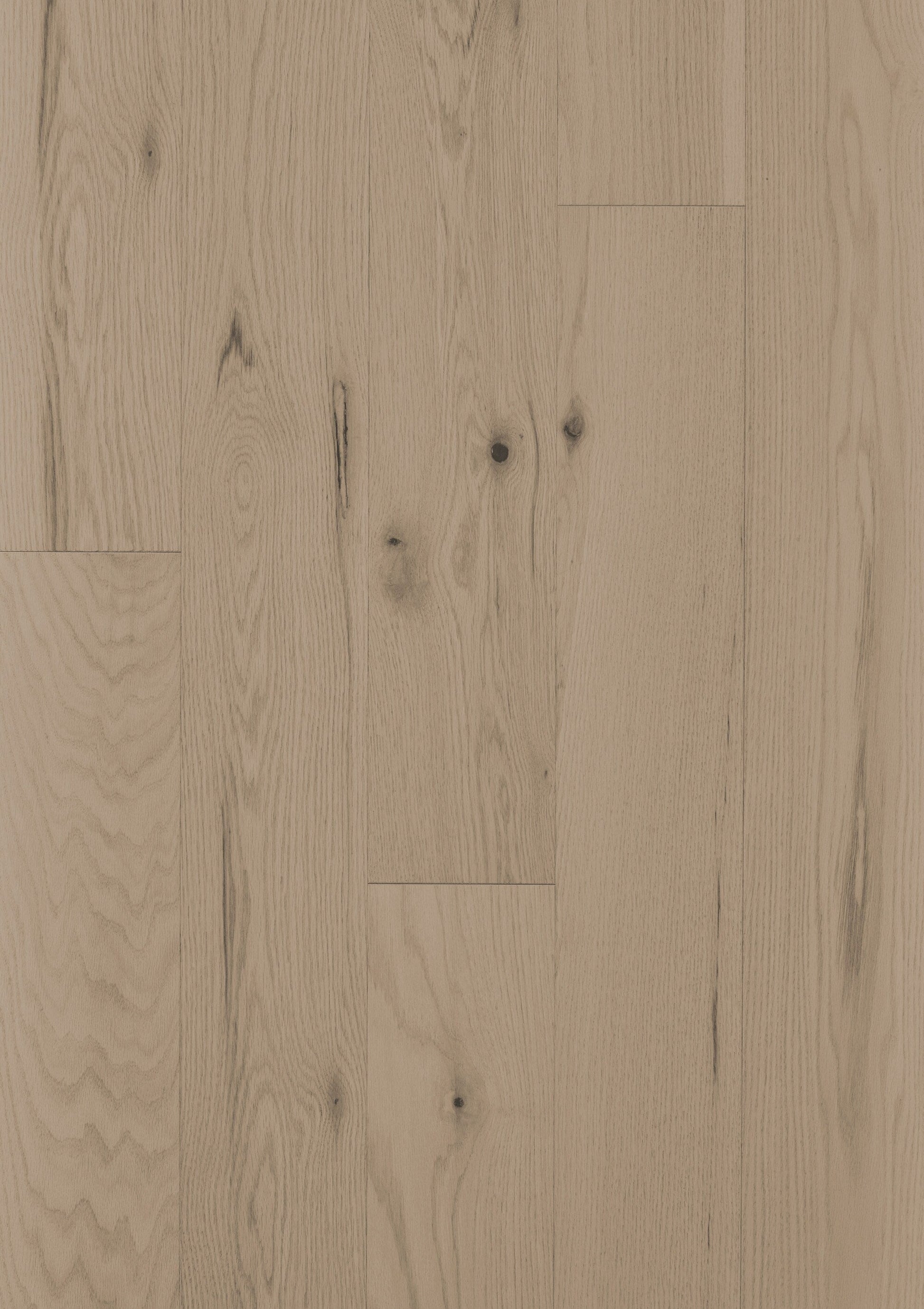 Shaw Oak Kendra hardwood flooring — lifestyle view