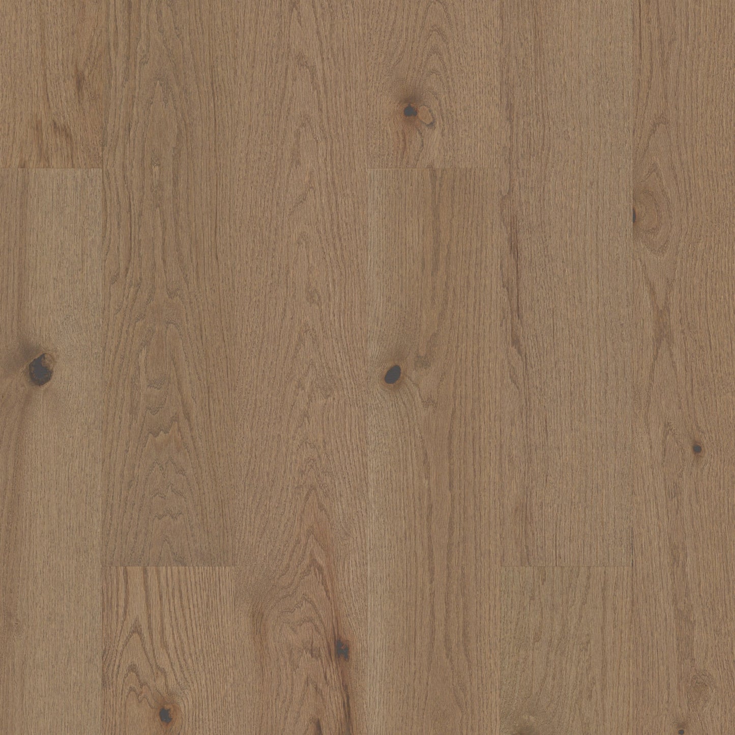 Shaw Oak Knox hardwood flooring — primary plank view