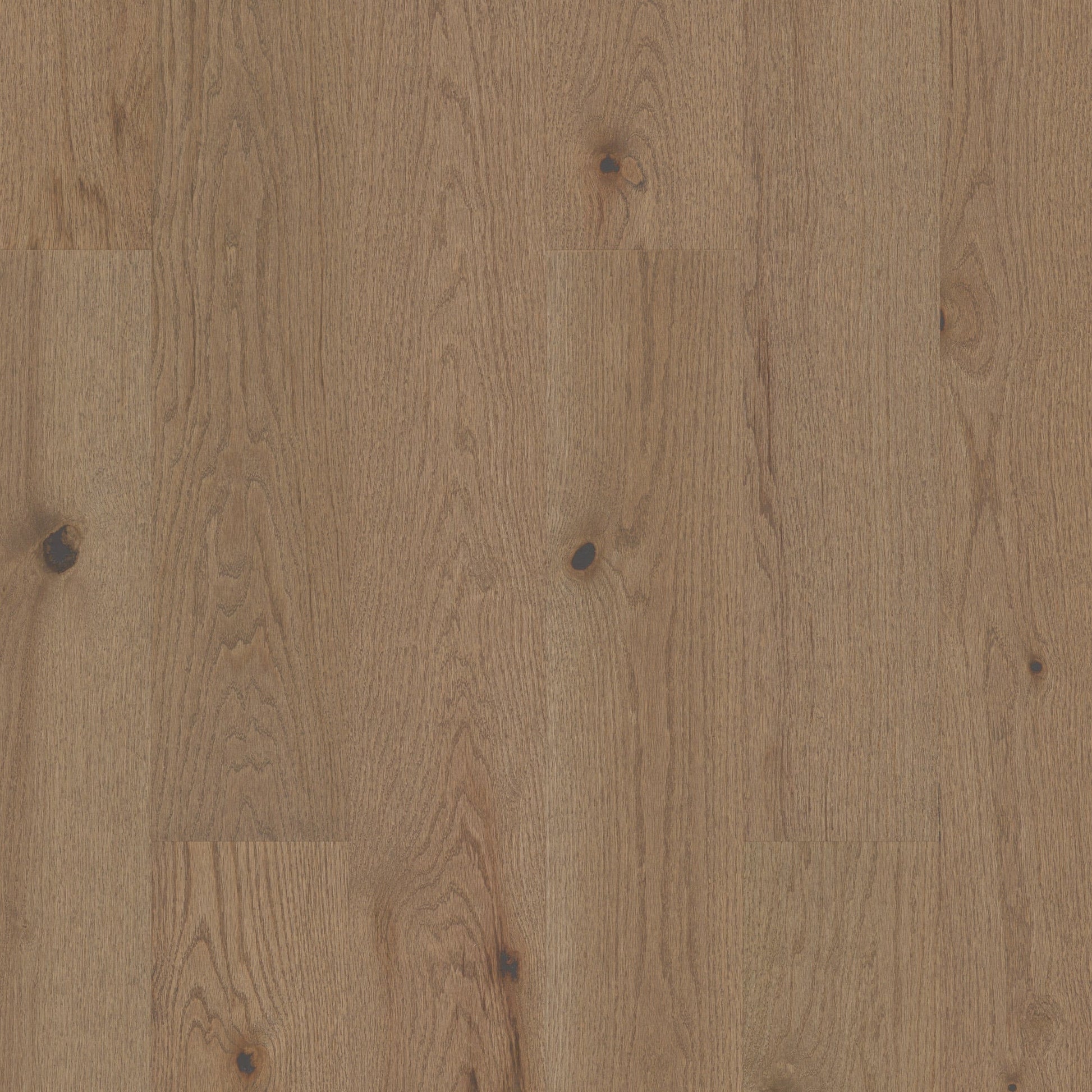 Shaw Oak Knox hardwood flooring — primary plank view