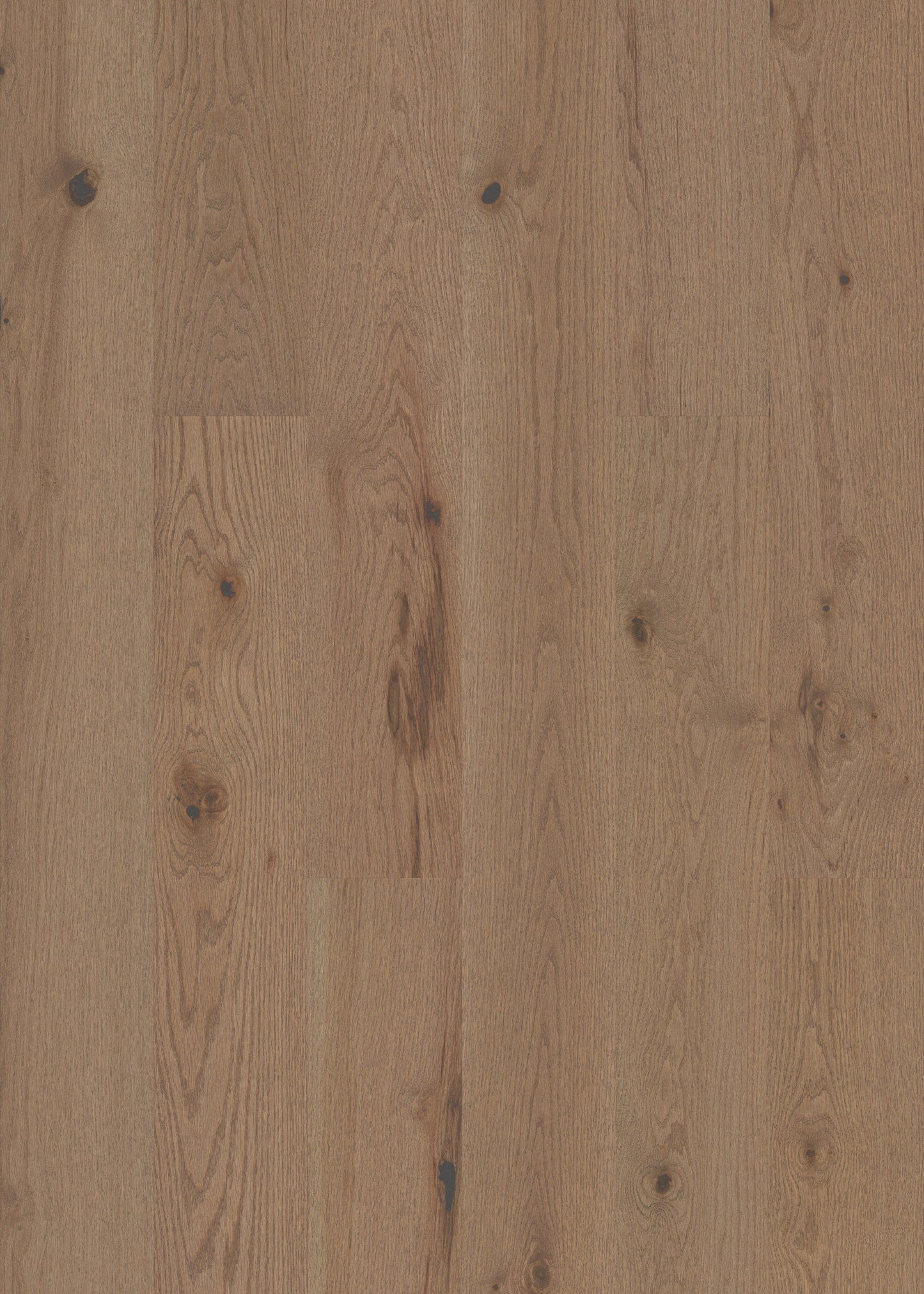Shaw Oak Knox hardwood flooring — lifestyle view