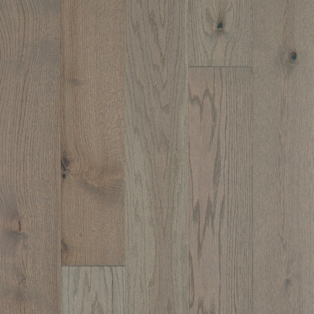 Shaw Oak Kaius hardwood flooring — primary plank view