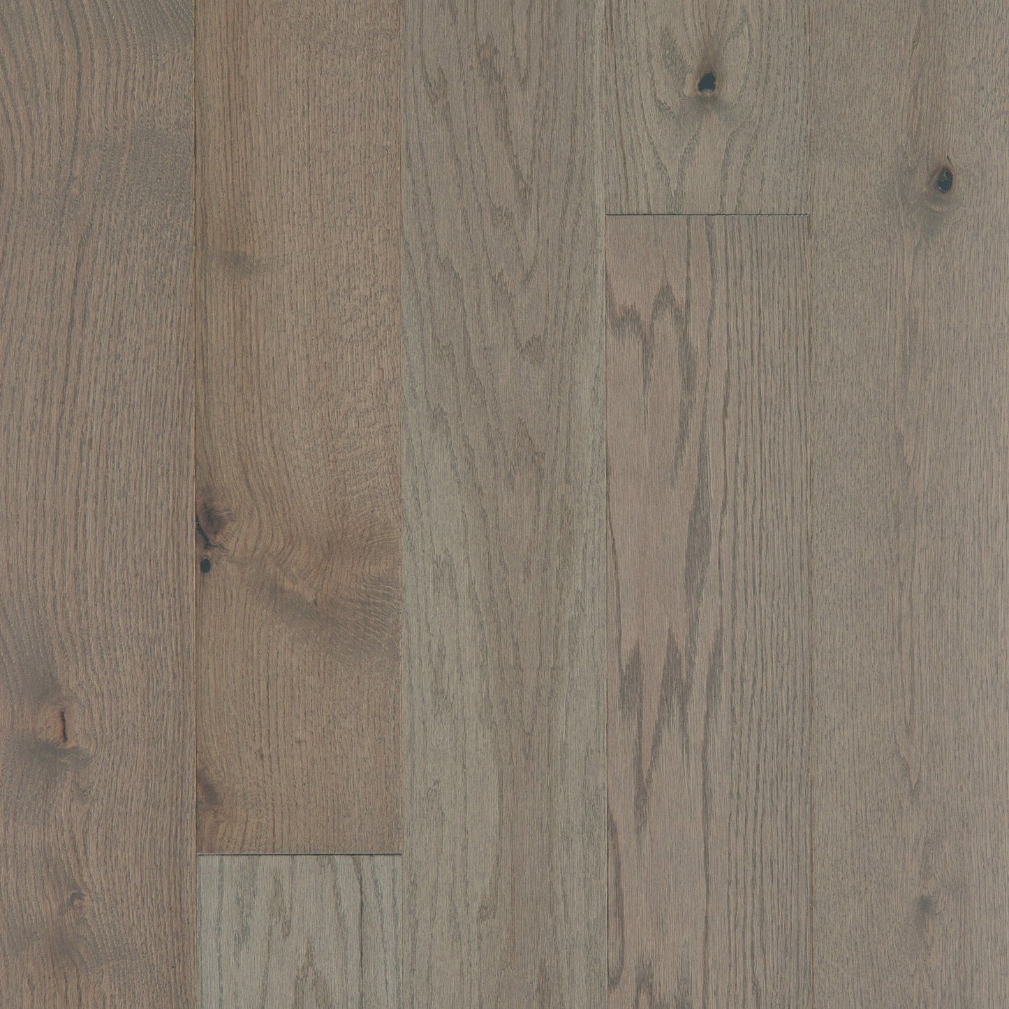 Shaw Oak Kaius hardwood flooring — primary plank view