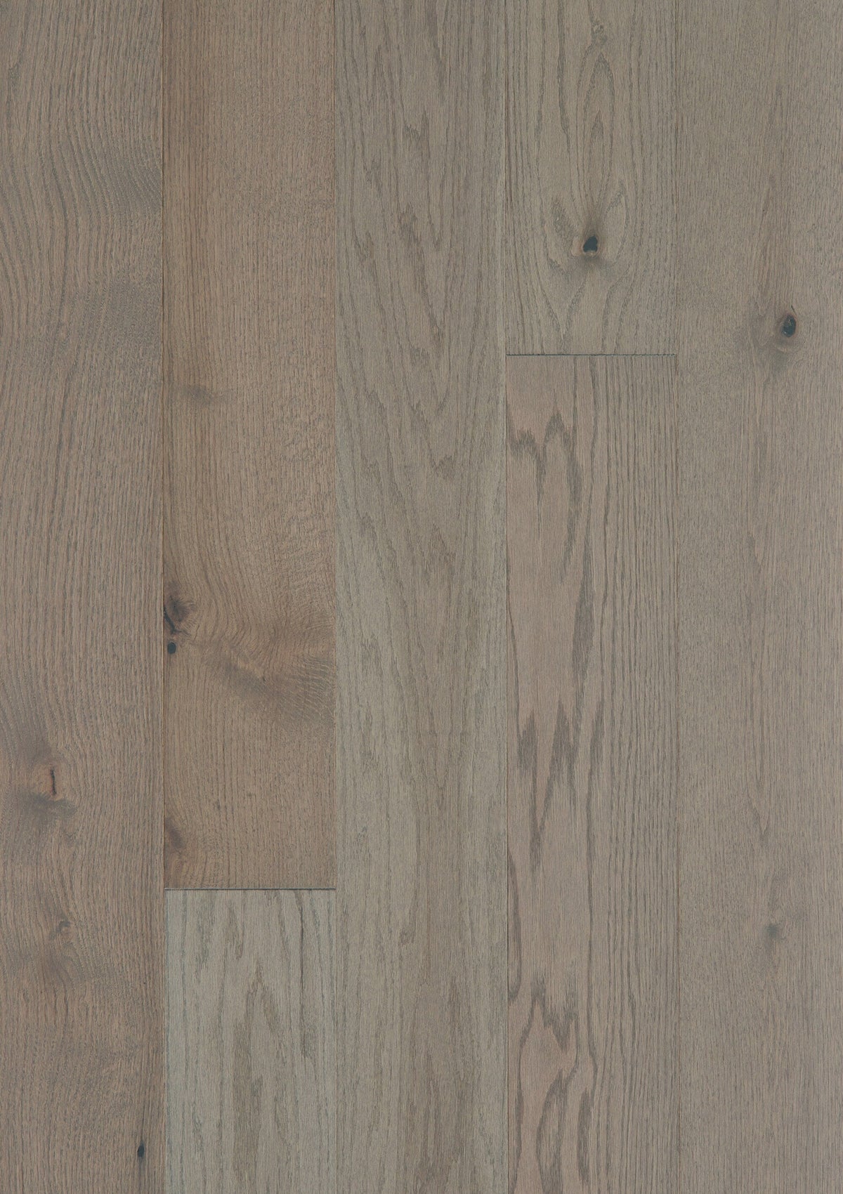 Shaw Oak Kaius hardwood flooring — lifestyle view