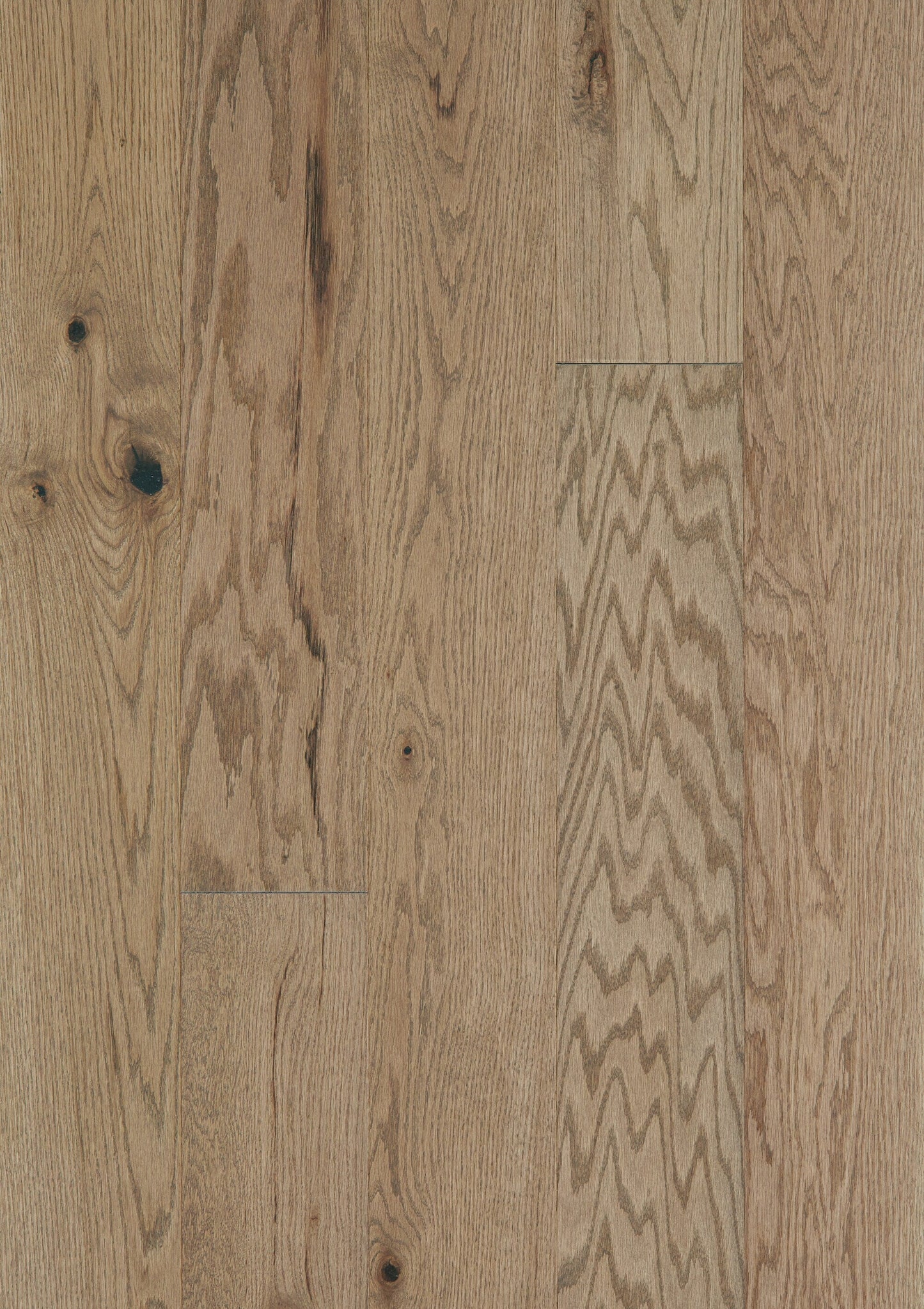 Shaw Oak Kelby hardwood flooring — lifestyle view