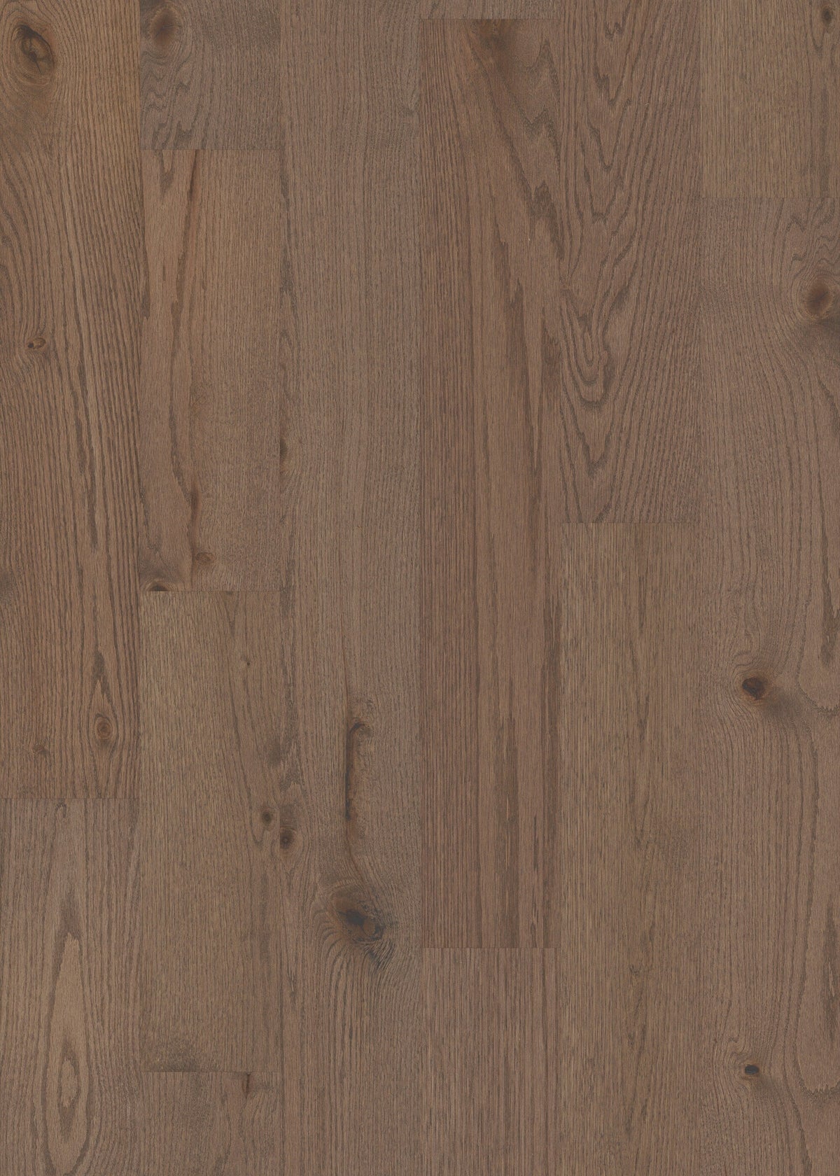 Shaw Oak Kiefer hardwood flooring — lifestyle view