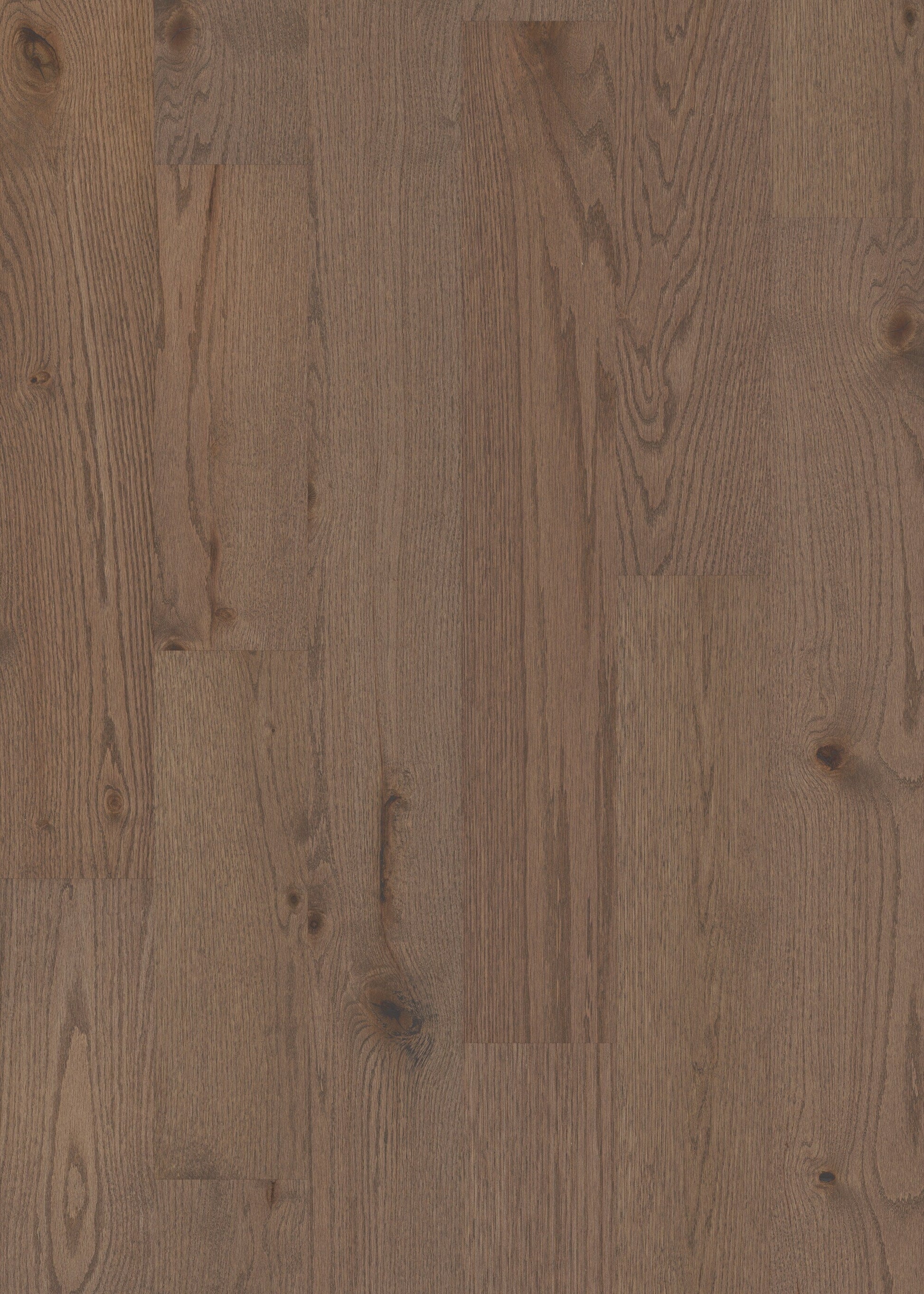 Shaw Oak Kiefer hardwood flooring — lifestyle view