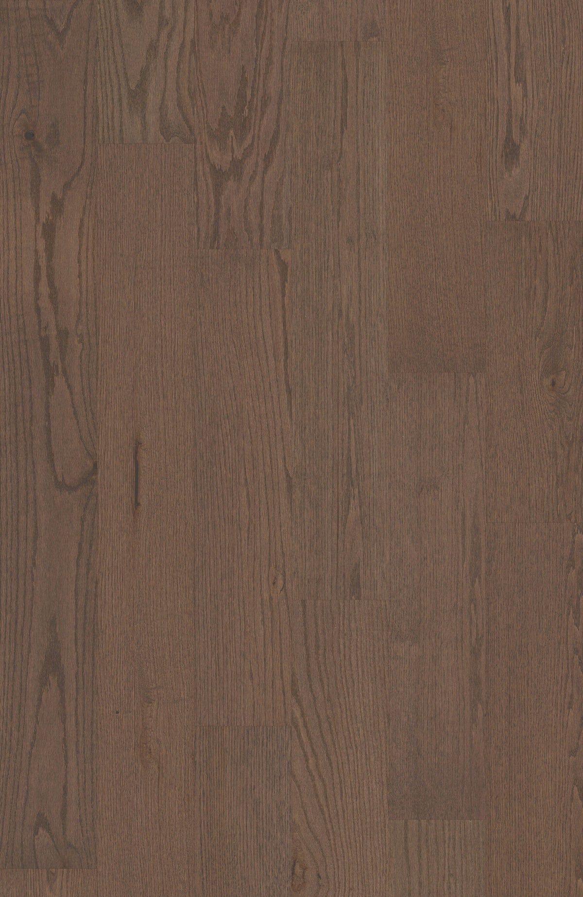 Shaw Oak Kismet hardwood flooring — lifestyle view