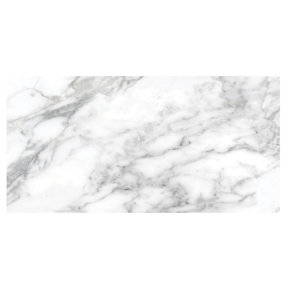 Satori La Marca Arabescato 12-in x 24-in Honed Porcelain Marble look Floor and Wall Tile product image