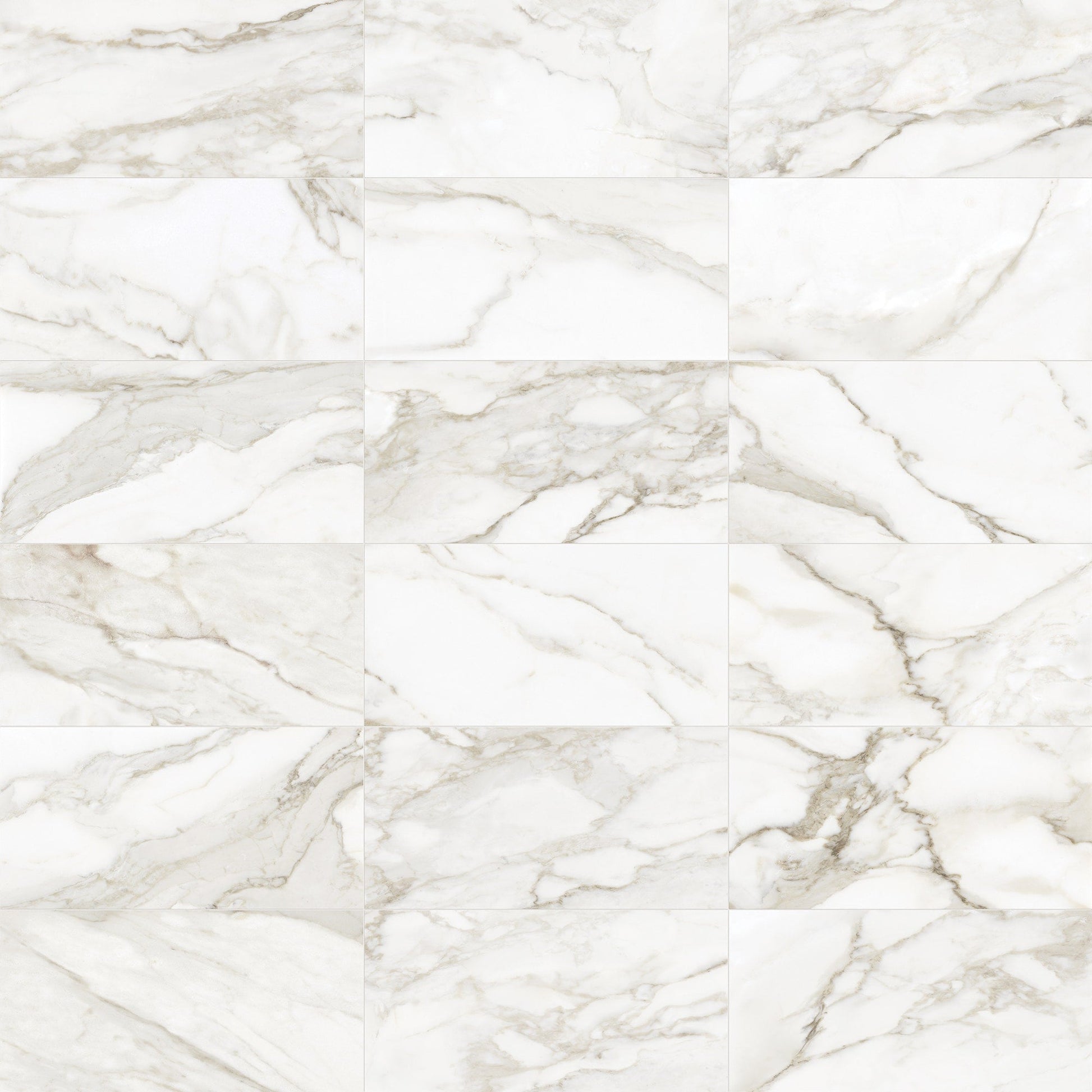 Satori La Marca Paonazzo 12-in x 24-in Honed Porcelain Marble look Floor and Wall Tile product image