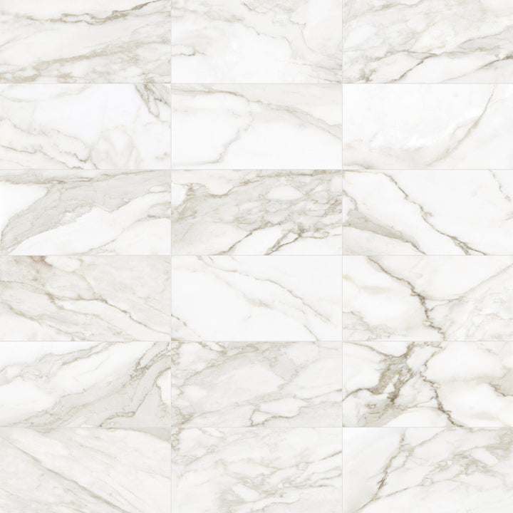 Satori La Marca Paonazzo 12-in x 24-in Honed Porcelain Marble look Floor and Wall Tile product image