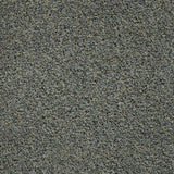 TrafficMaster Toulon 12 ft. Wide x Cut to Length Indoor/Outdoor Riverbirch Artificial Grass