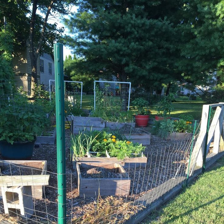 Everbilt 3 in. x 3 in. x 6 ft. Green Steel Fence Heavy Duty U-Post with Anchor Plate