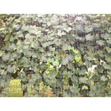68d17989-9c5e-44c0-ad47-47c38b764d0a_quality=60&_mzcb=_1649148331752_-1675676369