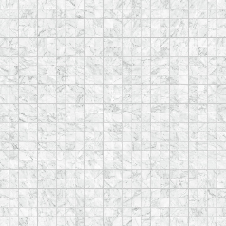 Satori La Marca Carrara Gioia 12-in x 12-in Honed Porcelain Marble look Mosaic Wall Tile product image
