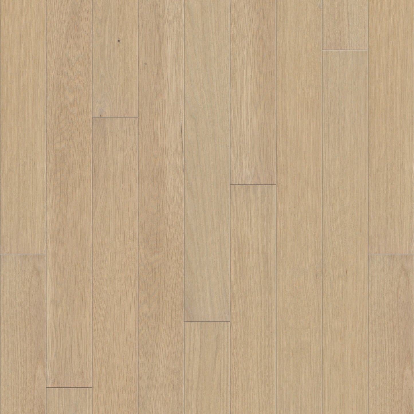 Shaw Oak Linen hardwood flooring — primary plank view