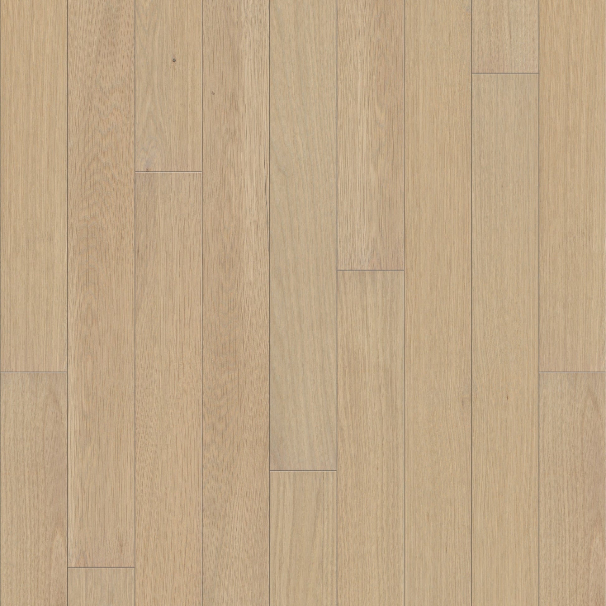 Shaw Oak Linen hardwood flooring — primary plank view