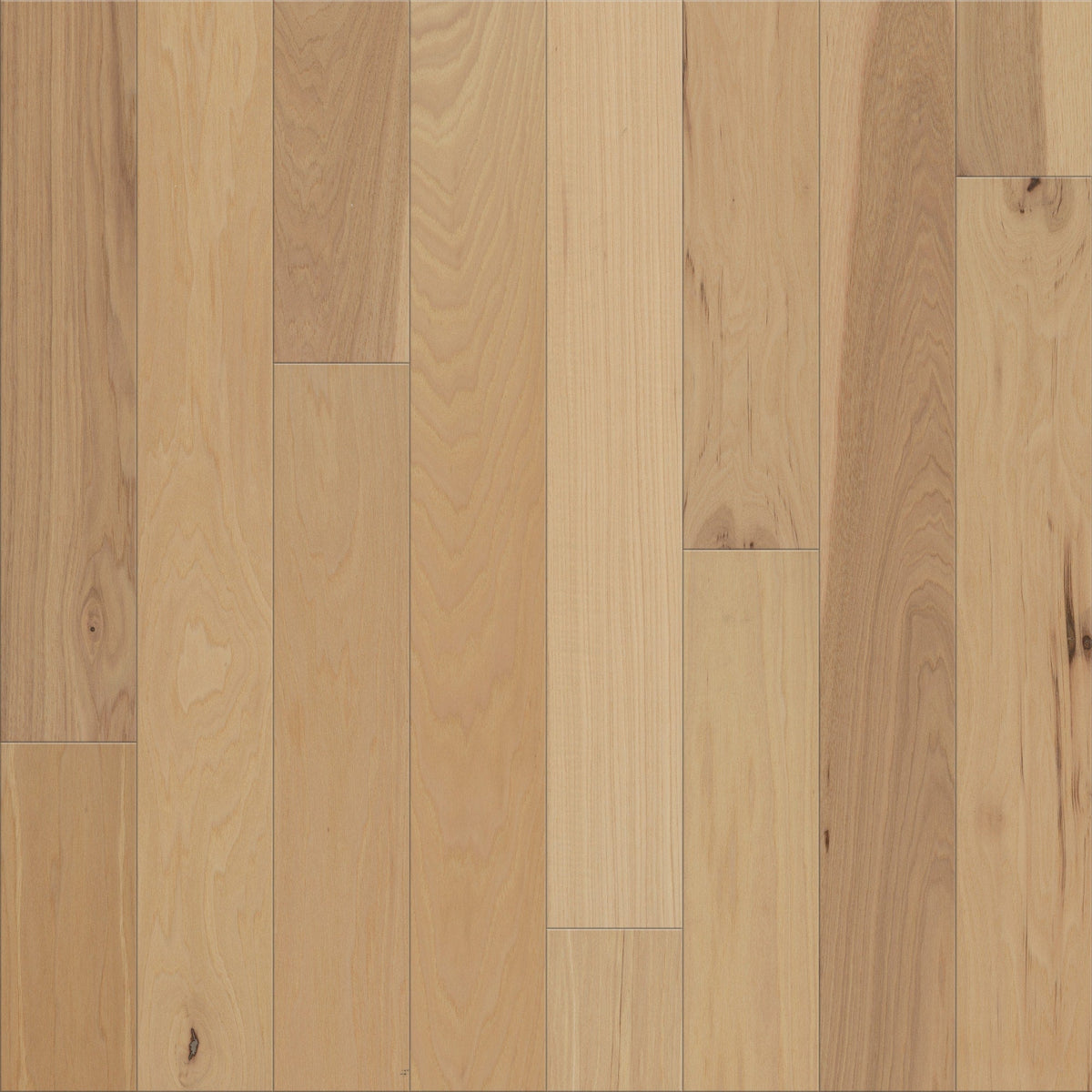 Shaw Hickory Feather hardwood flooring — primary plank view