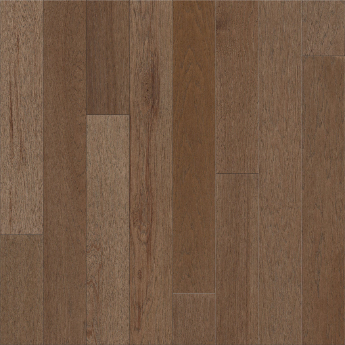 Shaw Hickory Sable hardwood flooring — primary plank view