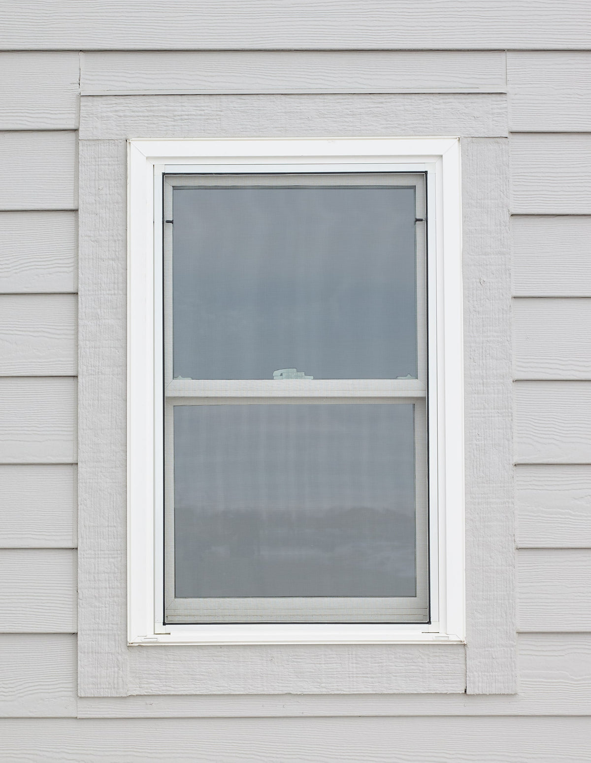 Pella 150 Series New Construction 35-1/2-in x 37-1/2-in White Vinyl Low-E Argon Double-Hung Window, Full Screen Included