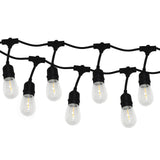 Portfolio 24-ft 12-Light Plug-in Incandescent Edison String Lights, Black