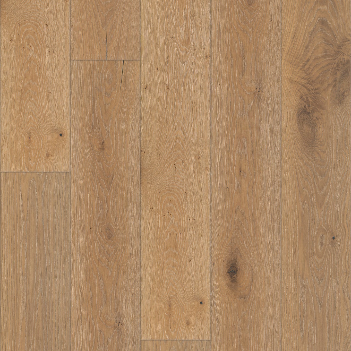 Shaw White oak Wilshire hardwood flooring — primary plank view