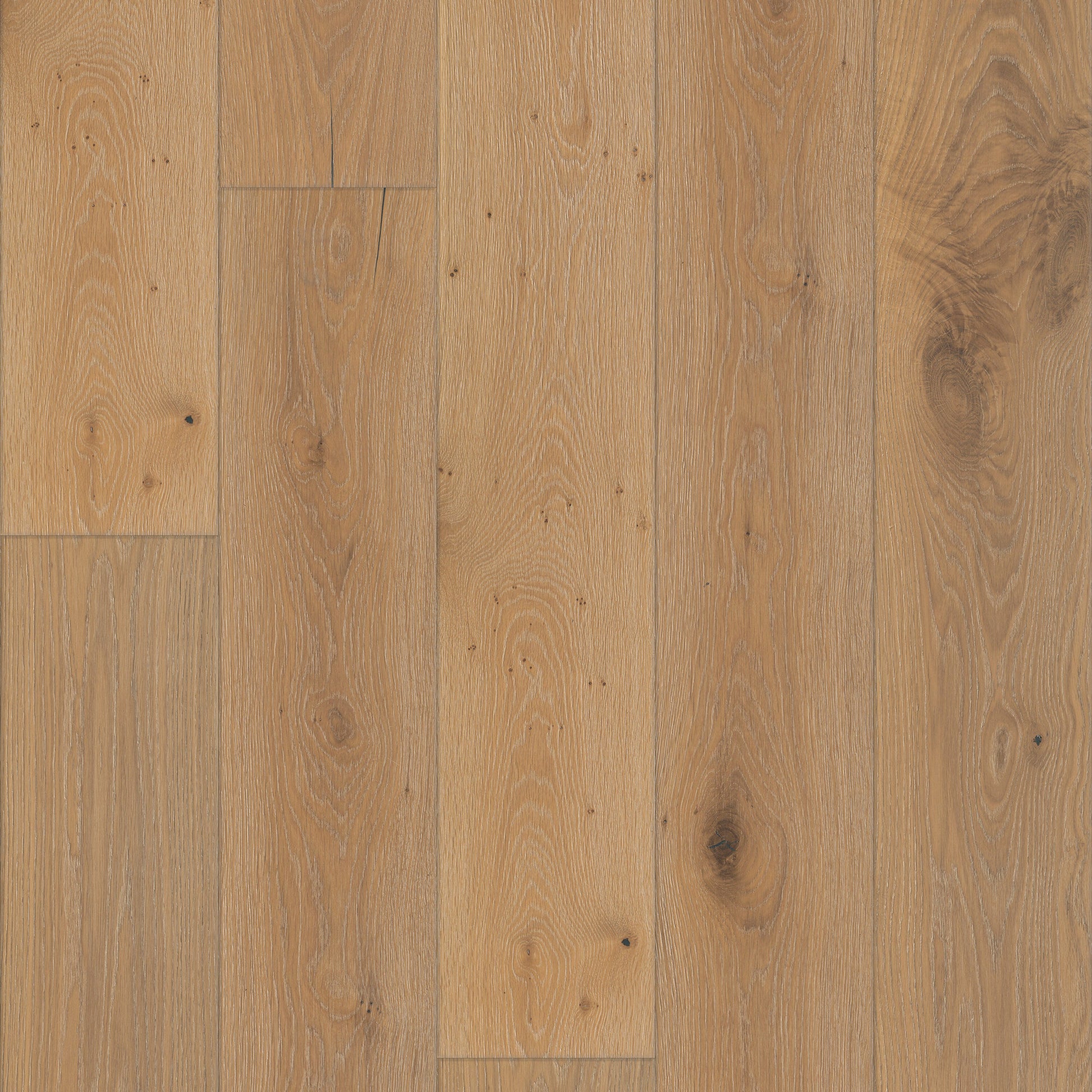 Shaw White oak Wilshire hardwood flooring — primary plank view
