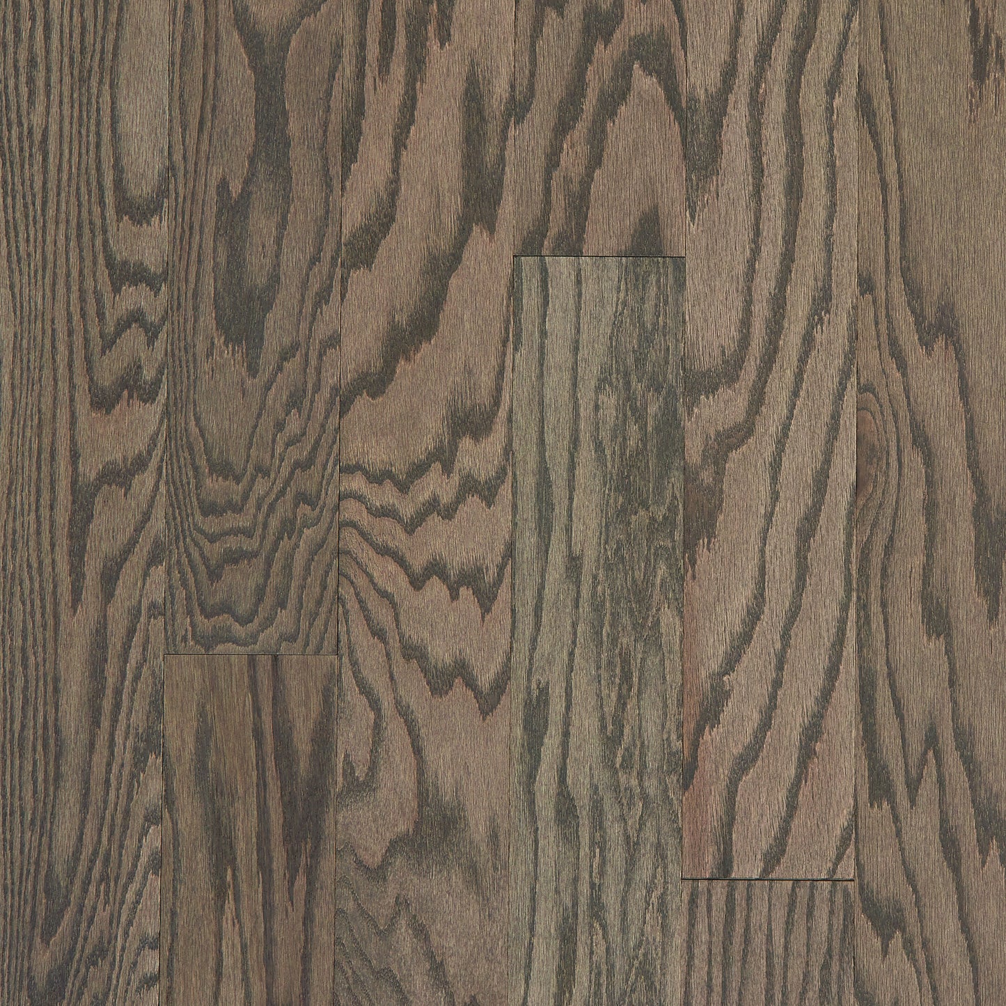 Shaw Red oak Americano hardwood flooring — primary plank view