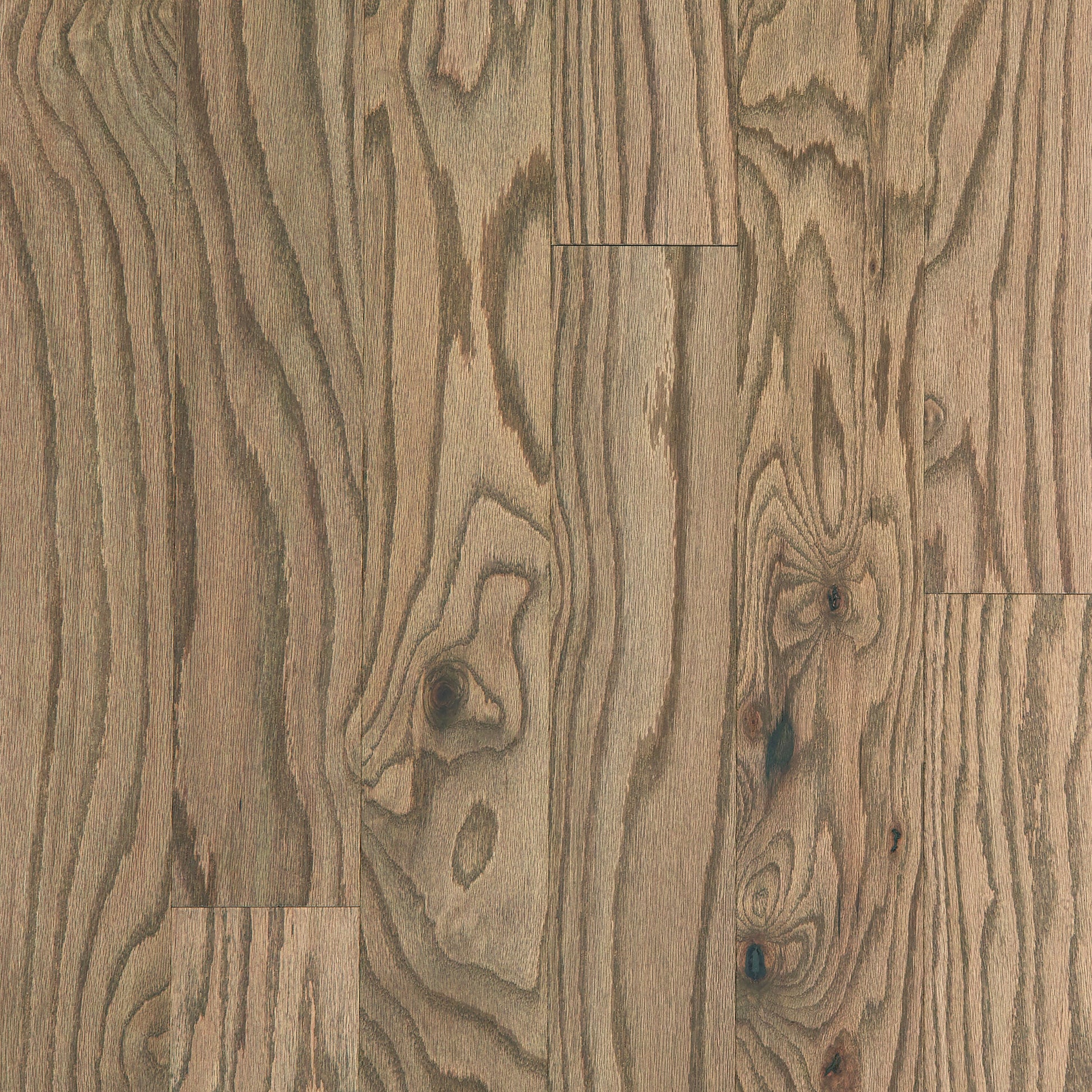 Shaw Red oak Cubano hardwood flooring — primary plank view