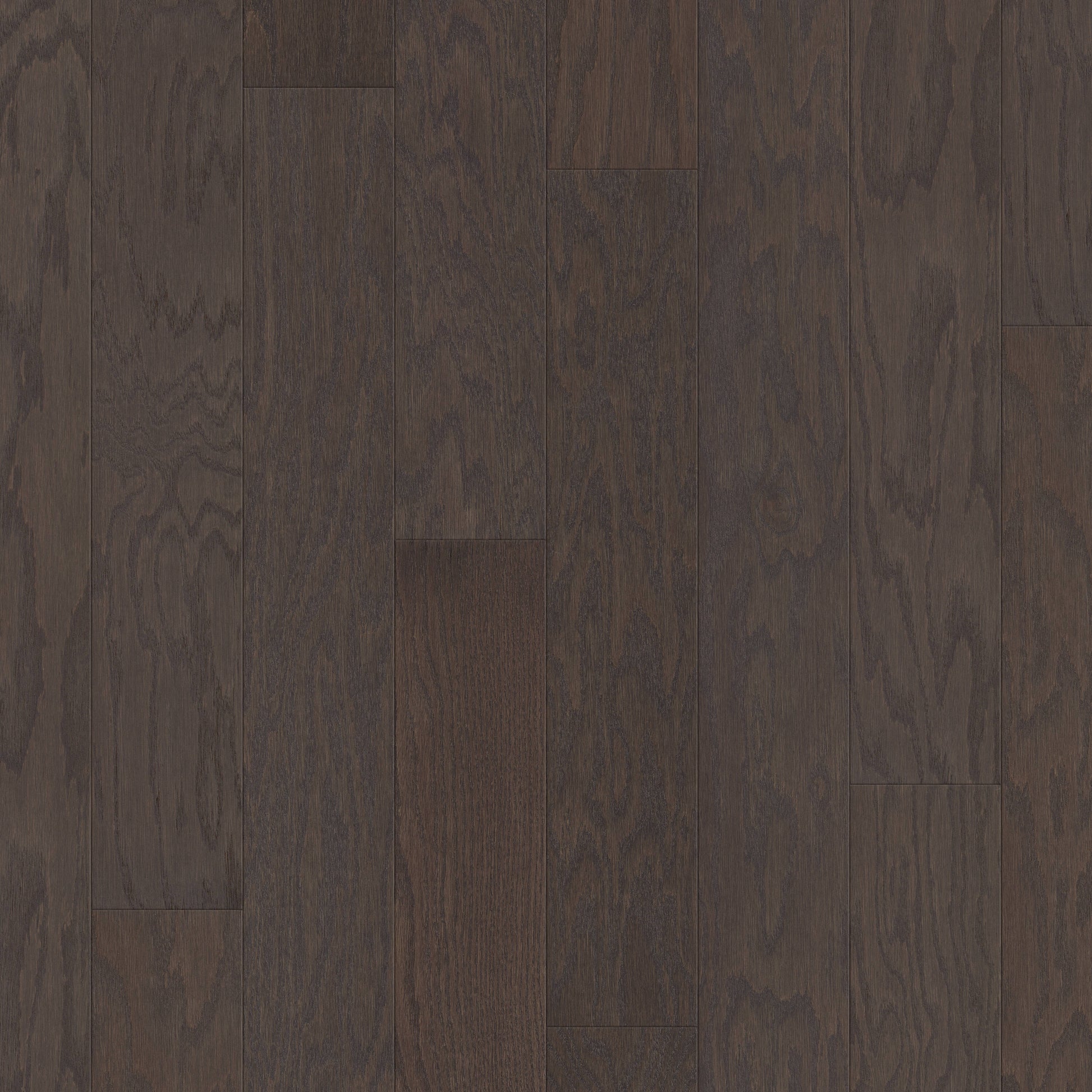 Shaw Red oak Borgia hardwood flooring — primary plank view
