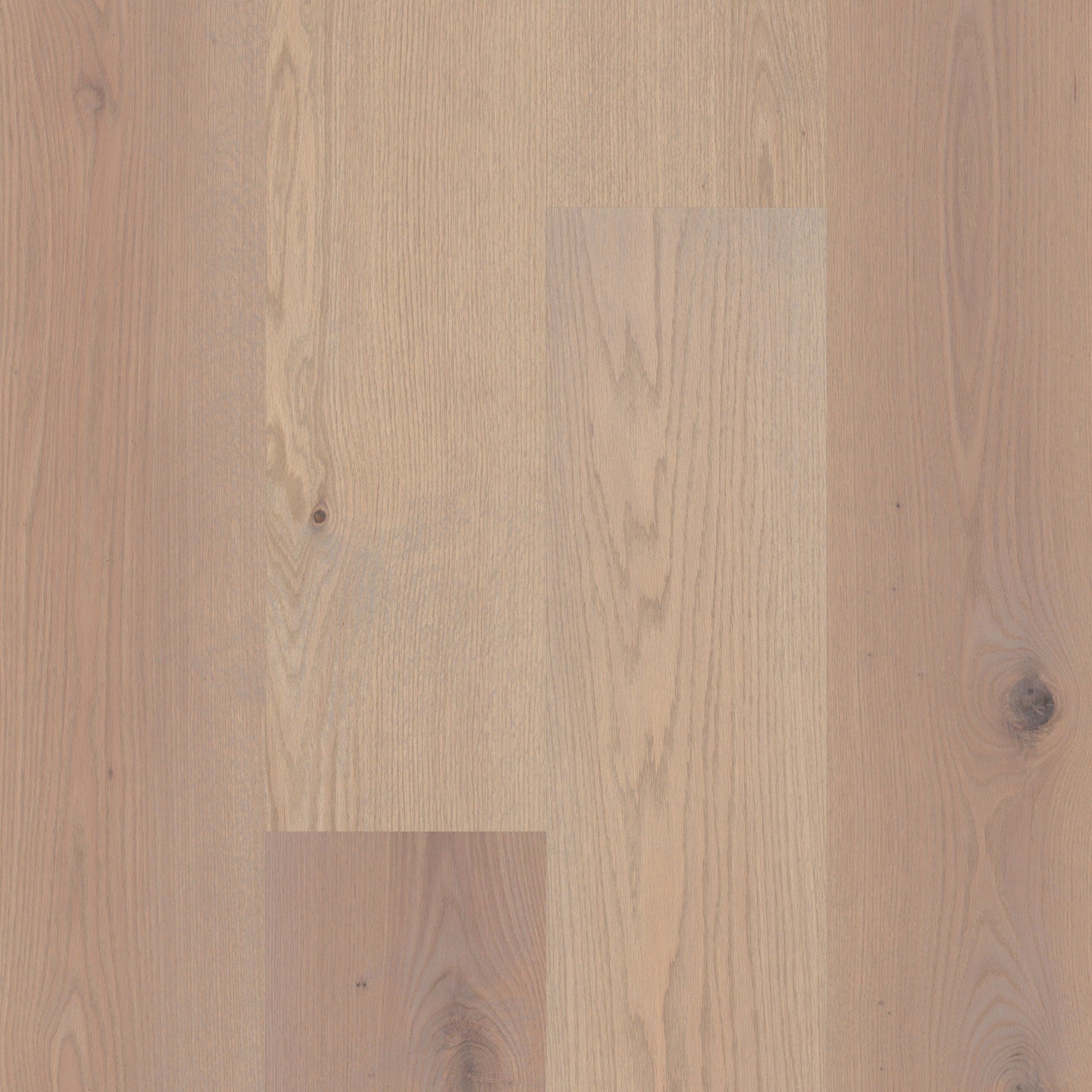 Shaw Oak Prairie Winds hardwood flooring — primary plank view