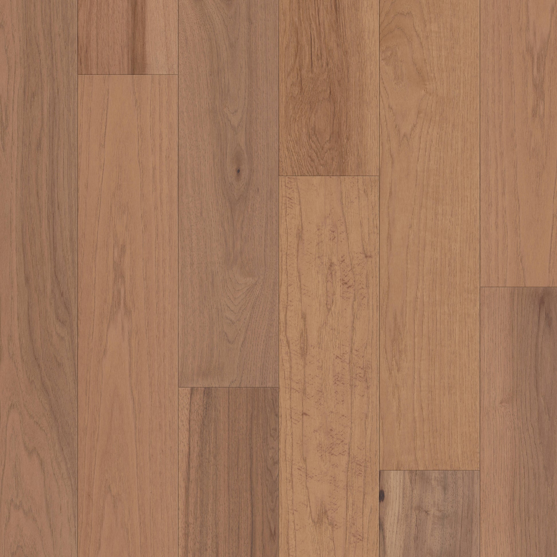 Shaw Hickory Sandbar hardwood flooring — primary plank view