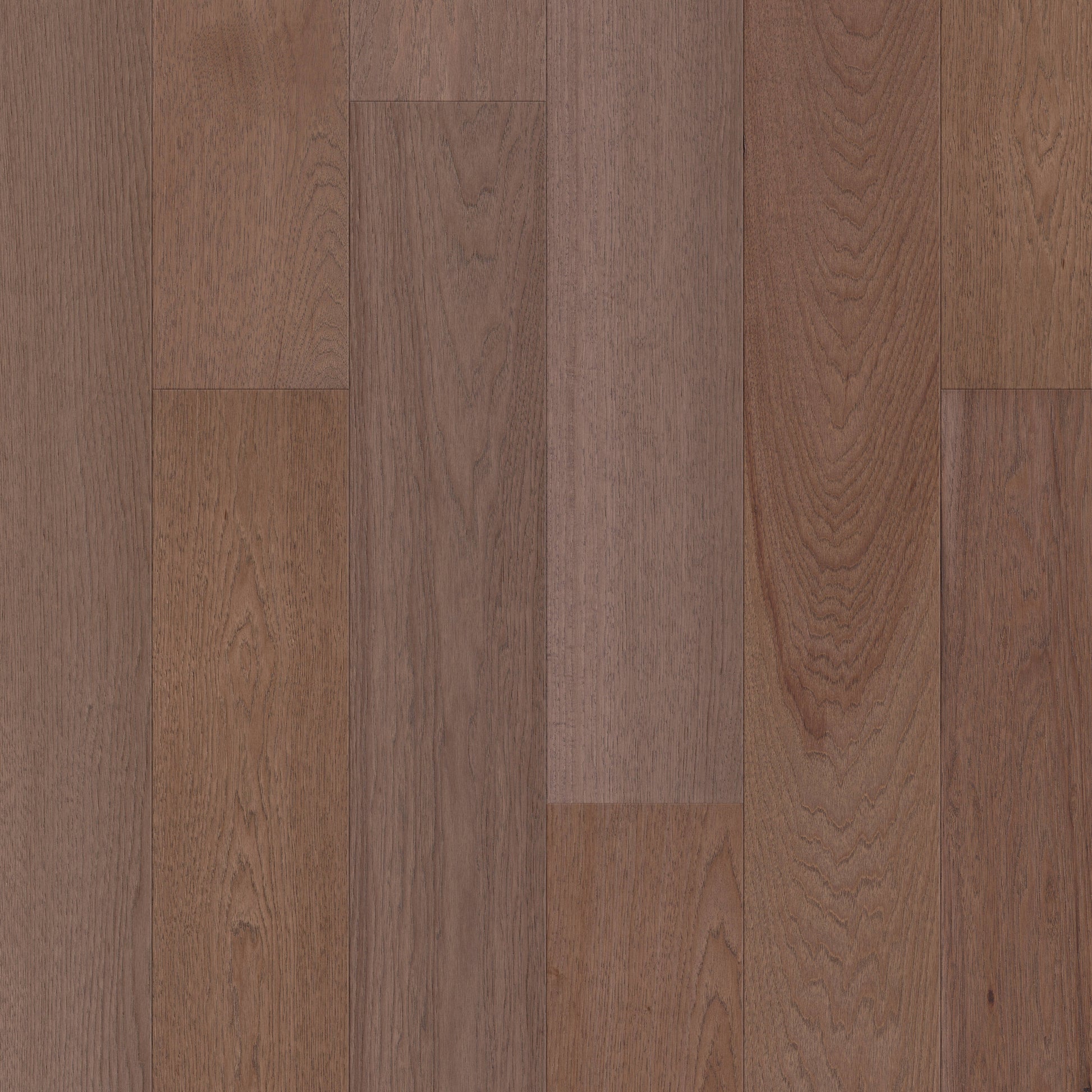 Shaw Hickory Brackish hardwood flooring — primary plank view