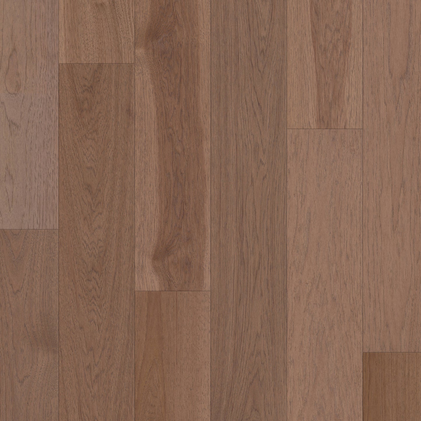 Shaw Hickory Tides hardwood flooring — primary plank view