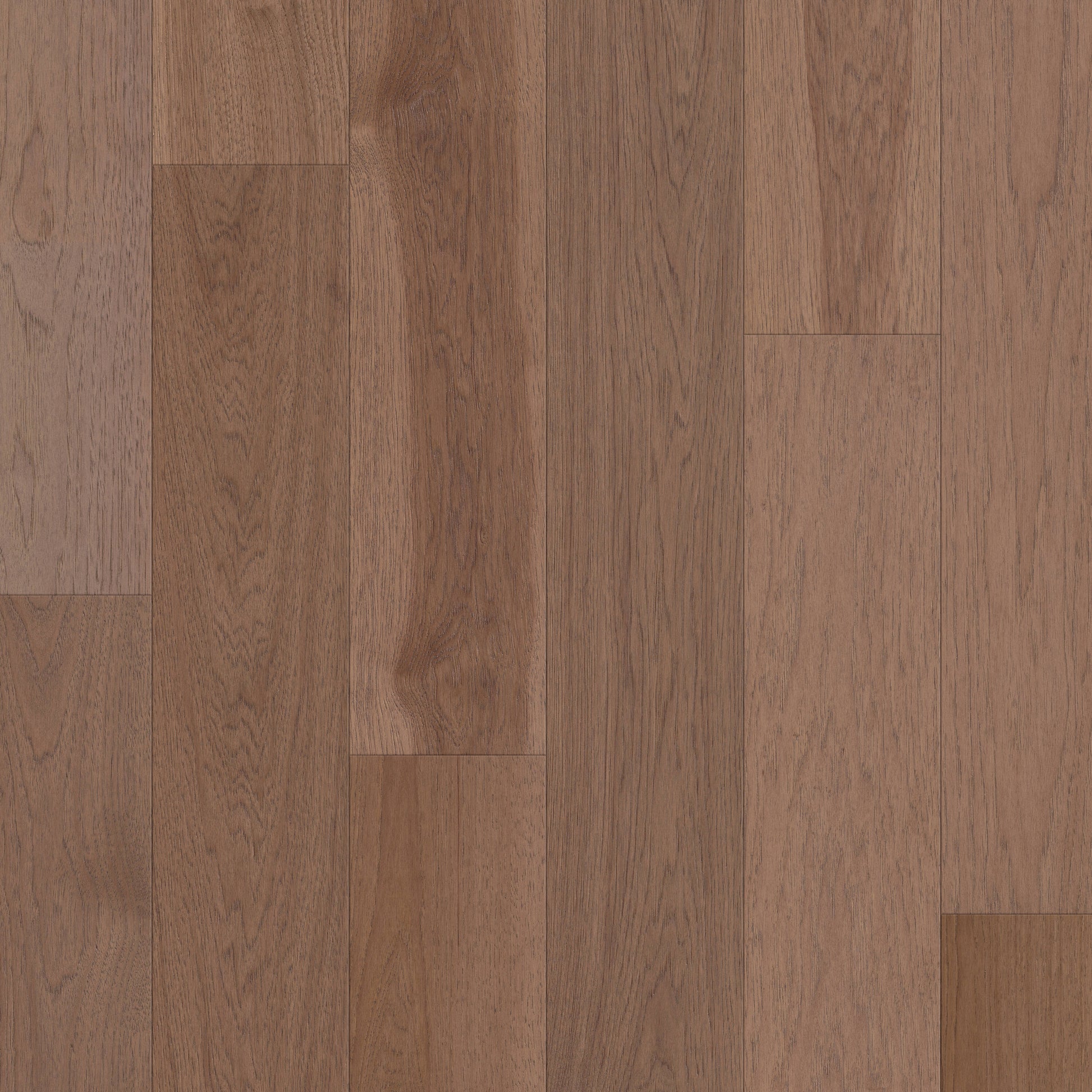 Shaw Hickory Tides hardwood flooring — primary plank view