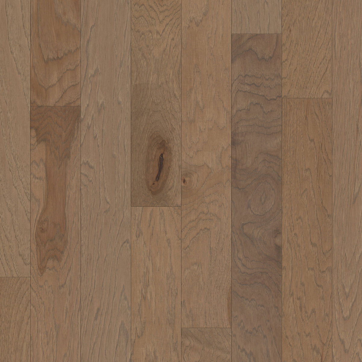 Shaw Hickory Thatch hardwood flooring — primary plank view